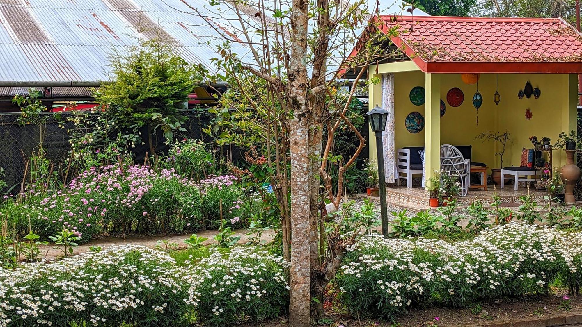 Shikher Guest House Kalimpong Exterior foto