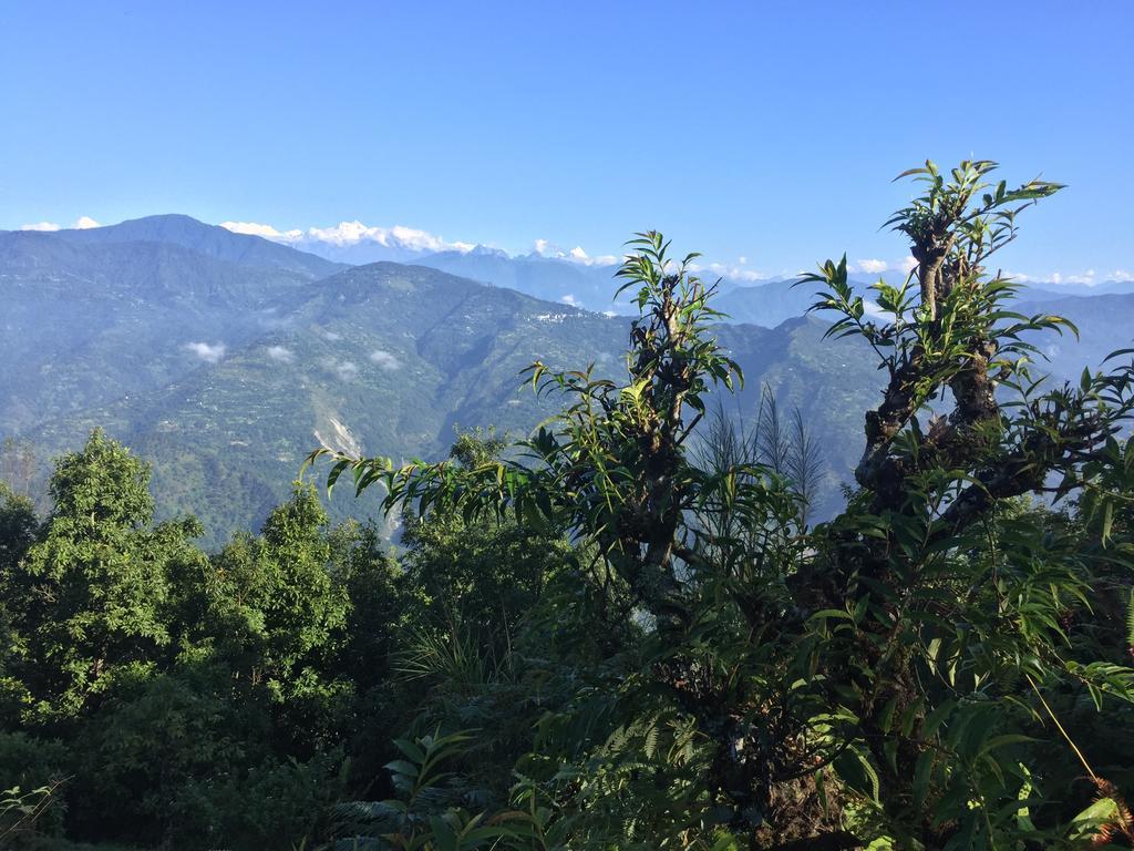 Shikher Guest House Kalimpong Exterior foto